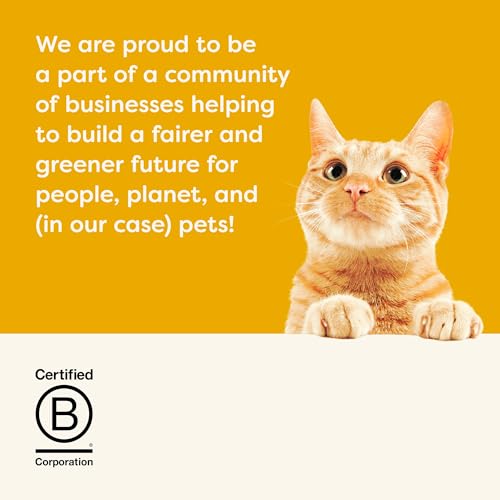 Applaws Natural Wet Cat Food in Gravy, Limited and Natural Ingredients, High Protein with No Artificial Additives, Fish Selection in Gravy (24 x 2.47oz Cans)