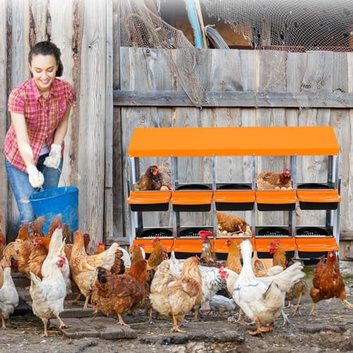 Chicken Nesting Box, 10 Hole 2 Layer Hen Nest Box with Legs, Roll Away Eggs Laying Boxes,Cleanable Pull Out Hen Roosting Boxes