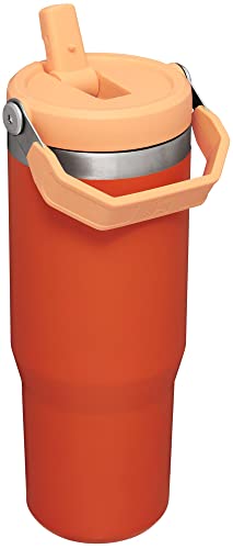 Stanley IceFlow Flip Straw Tumbler with Handle 30 oz | Twist On Lid and Flip Up Straw | Leak Resistant Water Bottle | Insulated Stainless Steel |BPA-Free | Lilac