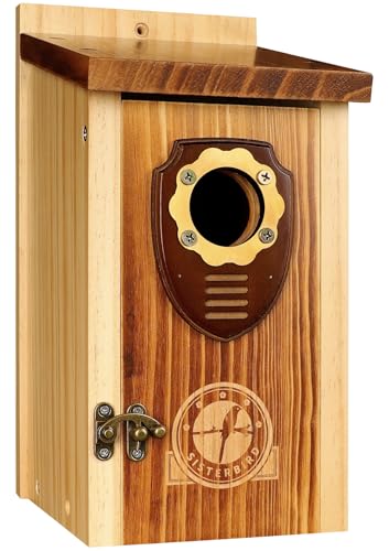 Bluebird Houses for Outside, Premium Bird Houses for Outside, Wooden Cabin Birdhouses for Outdoors, Weatherproof Courtyard Decorated Hanging Bird House, Nesting Bird House