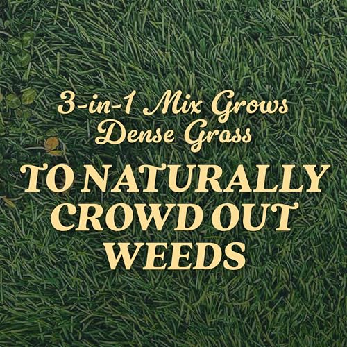 O.M. Scott and Sons Tall Fescue Blend Grass Seed, Fertilizer and Soil Improver, Naturally Crowds Out Weeds, Covers Up to 2,000 sq. ft., 8 lbs.
