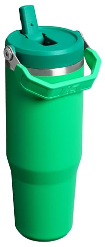 Stanley IceFlow Flip Straw Tumbler with Handle 30 oz | Twist On Lid and Flip Up Straw | Leak Resistant Water Bottle | Insulated Stainless Steel |BPA-Free | Lilac