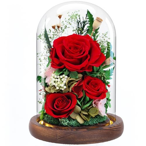 Forever Fresh Rose Flower Bouquet in Glass Dome, Preserved Purple Flowers for Delivery Prime - Ideal Gift for Women, Mom, Grandma and Wife on Birthdays, Anniversaries, Mother's Day & Christmas