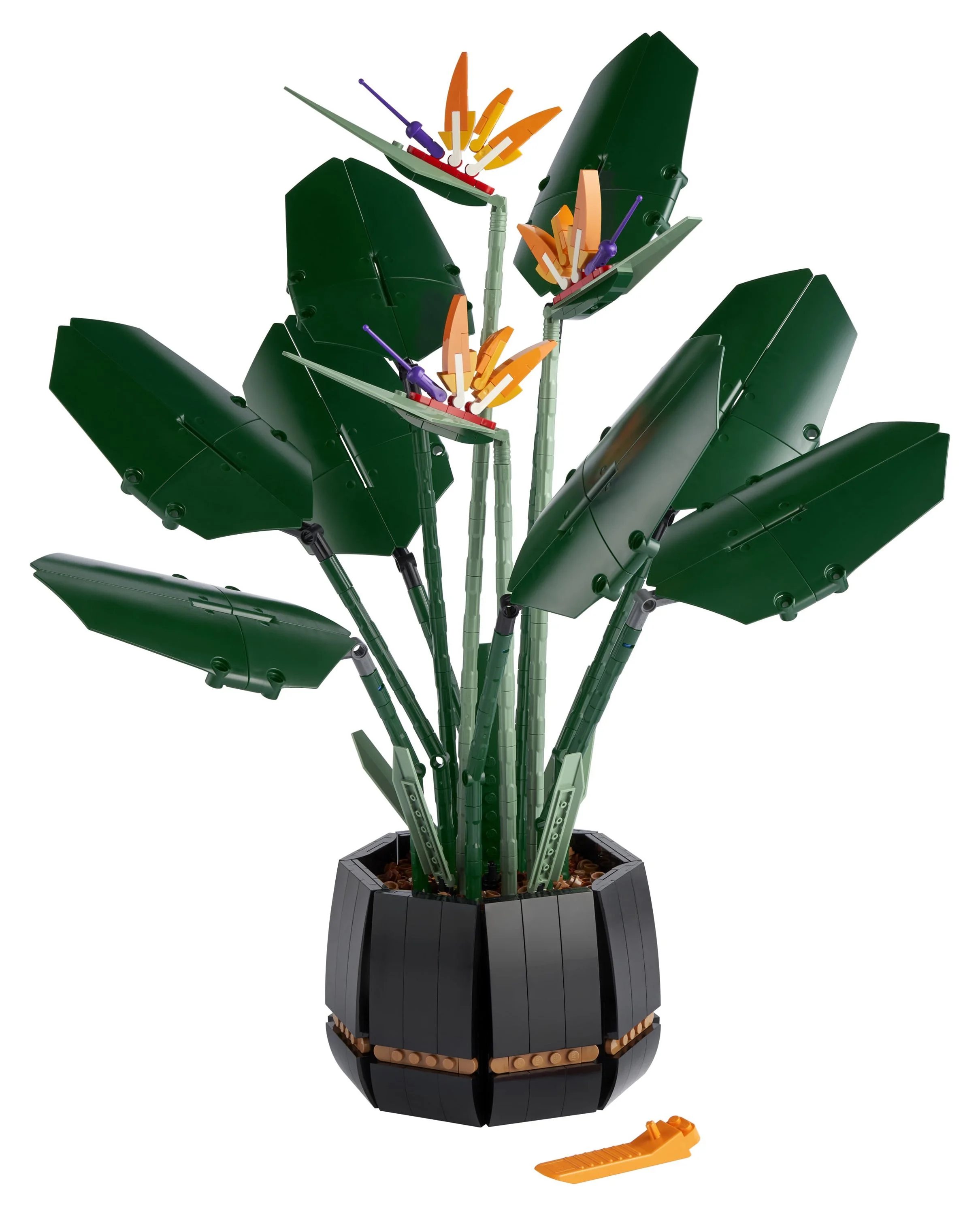 LEGO Icons Botanical Collection Bird of Paradise 10289, Flowers & Plants Model, DIY Set for Adults, Creative Activity, Office or Home Décor Gift Idea