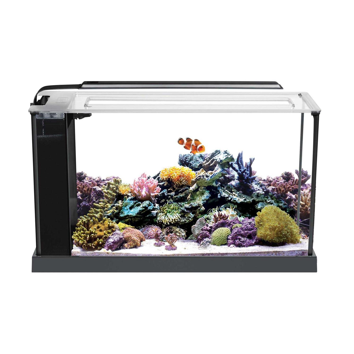 Fluval Evo Aquarium Kit - Pet Supplies online store