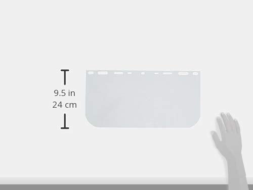 Replacement Face Shield, 8