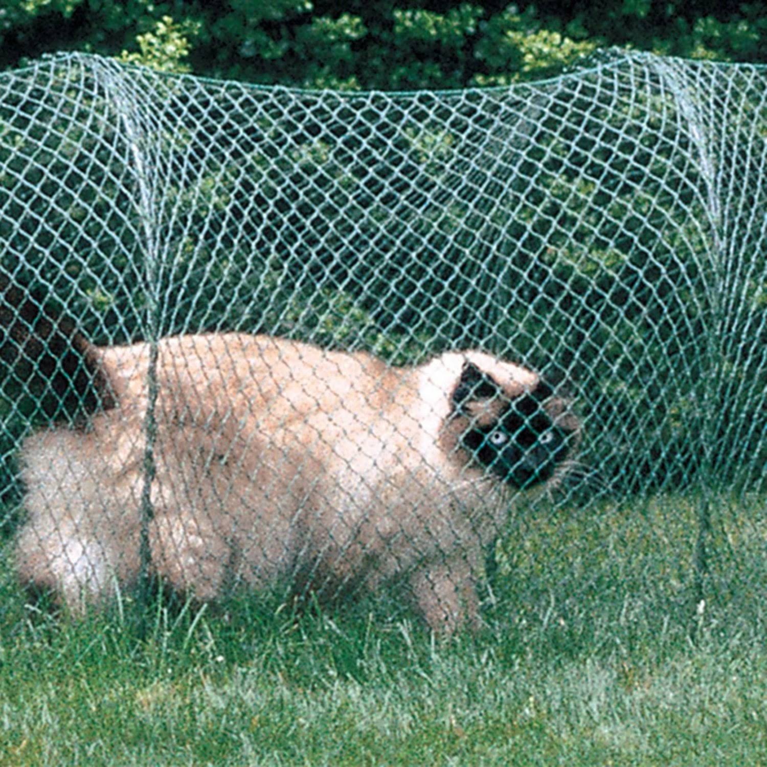 Kittywalk Lawn Version Outdoor Cat Enclosure - Green