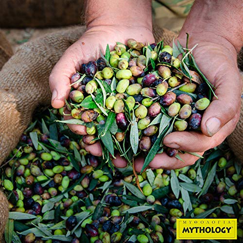Mythology Greek Olive Oil From Greece, Cold Pressed Extra Virgin Olive Oil, Certified PDO Kolymvari Chania Crete, 3 Liter