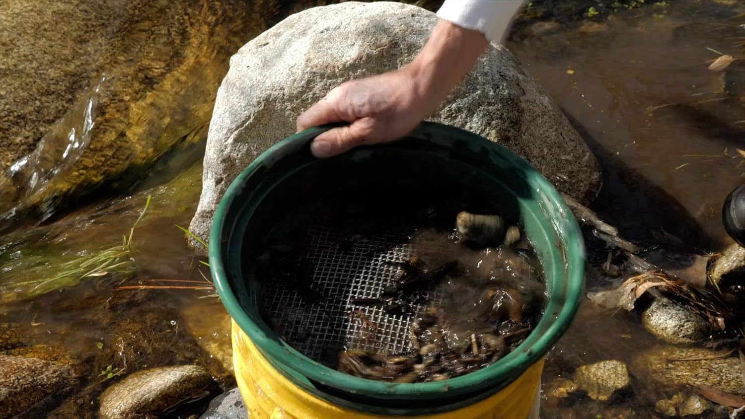 Sluice Fox Deluxe Gold Panning Kit | Classifiers| Pans | Tweezers | Vials