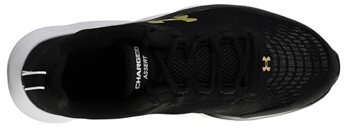 Under Armour Men's Charged Assert 9 Running Shoe