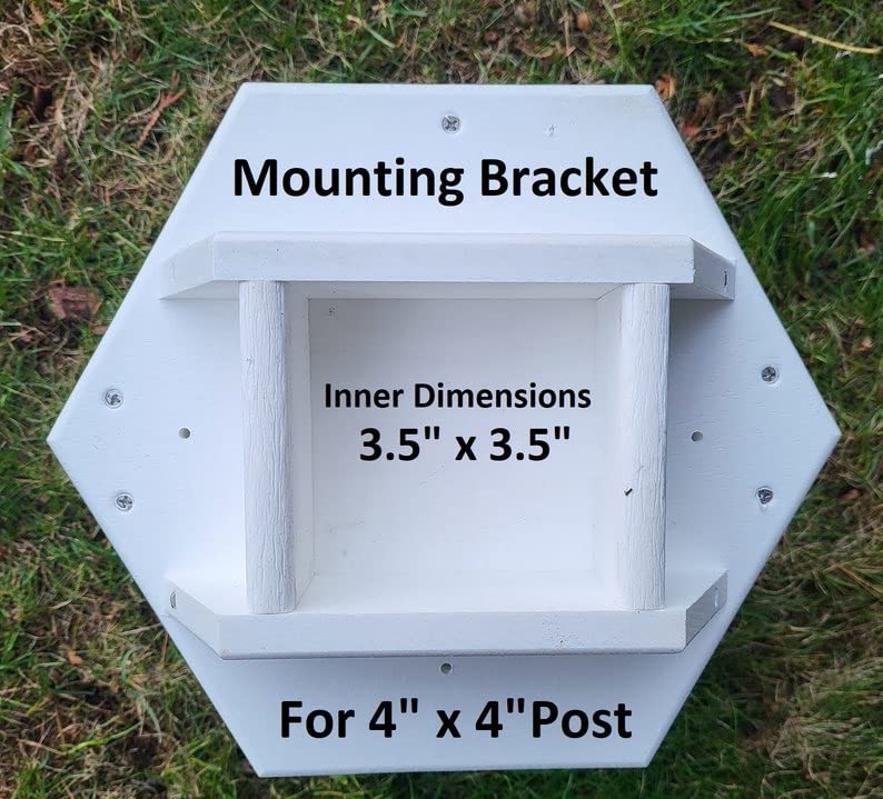 2 Holes Amish Handmade Copper Roof Birdhouse With Individual Perches, Duplex 2 Nesting Compartments, Bluebird Songbird Bird House US Made