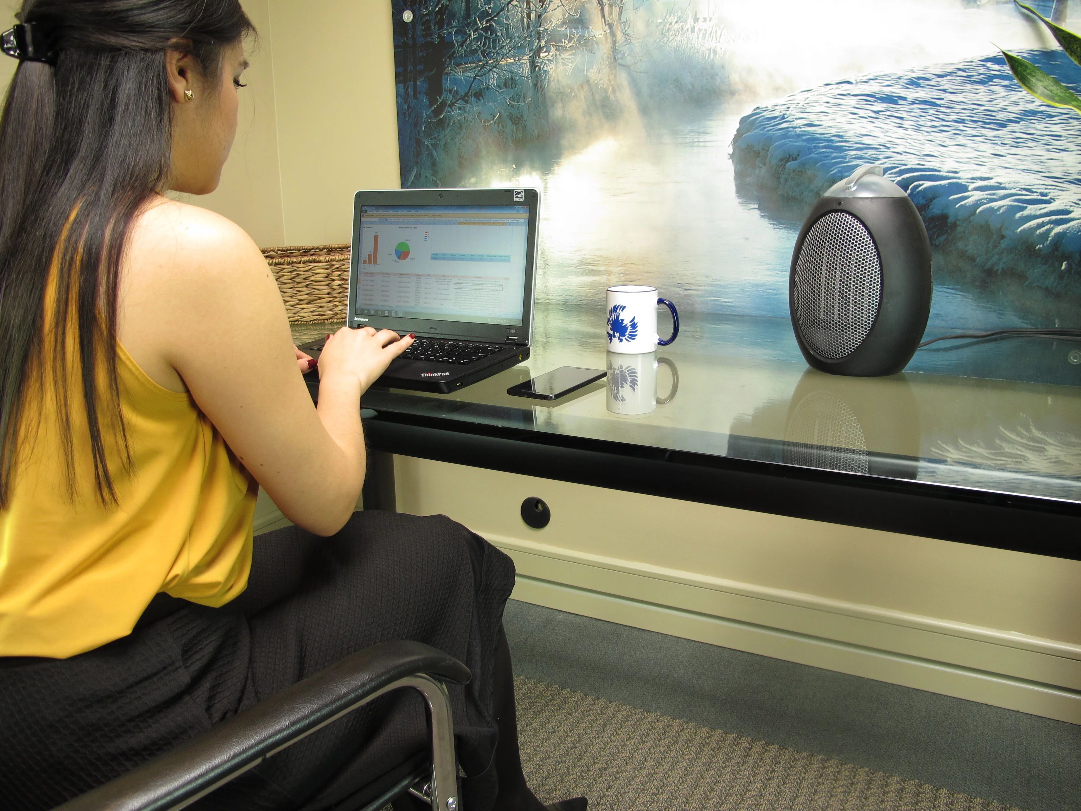 Cozy Products Eco-Save Space Heater Fan Thermostat 375 Watts