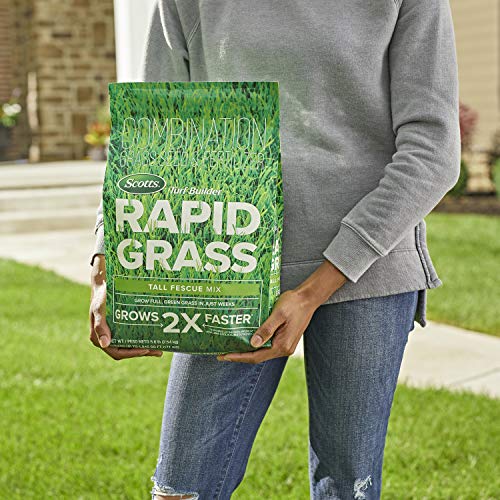 Scotts Turf Builder Rapid Grass Tall Fescue Mix, Combination Grass Seed and Fertilizer, Grows Green Grass in Just Weeks, 5.6 lbs.