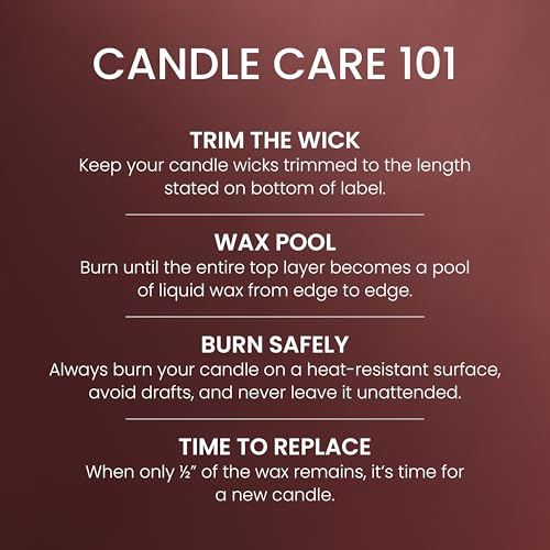 Yankee Candle Sparkling Cinnamon, Christmas Scented Candle, 22oz Large Jar with up to 150 Hour Burn Time, Giftable