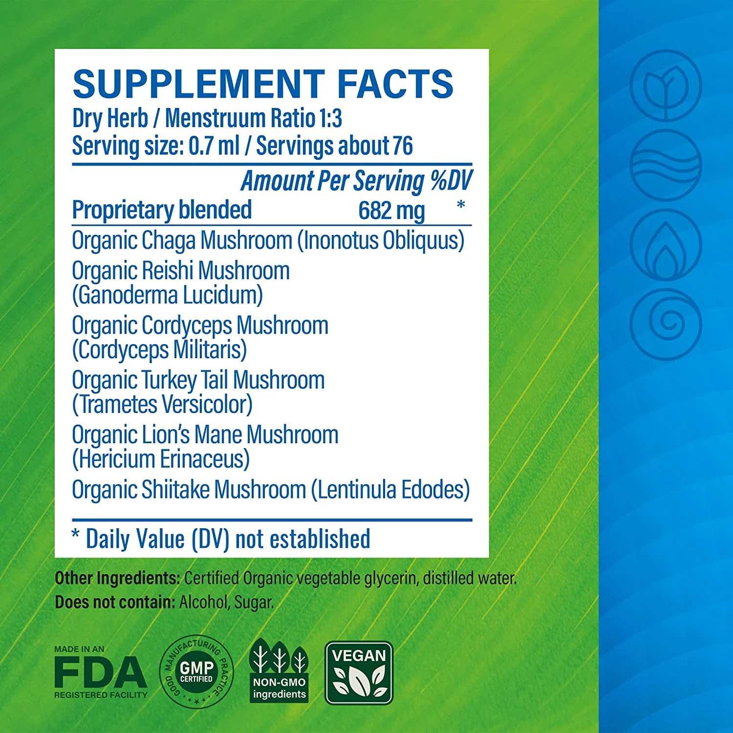 MAUWE HERBS 6 Mushrooms Supplement - Mushroom Complex Liquid Drops with Lions Mane, Cordyceps Extract, Reishi, Shiitake, Turkey Tail & Chaga - Immune System Booster, Mental Clarity, Focus