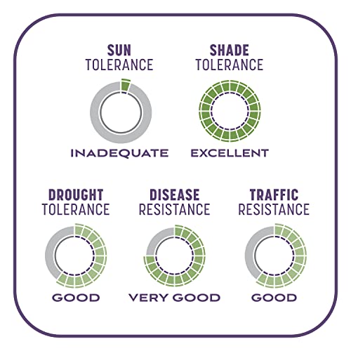 Pennington Smart Seed Dense Shade Grass Mix Bag 7 lb