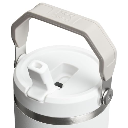 Stanley IceFlow Flip Straw Tumbler with Handle 30 oz | Twist On Lid and Flip Up Straw | Leak Resistant Water Bottle | Insulated Stainless Steel |BPA-Free | Lilac