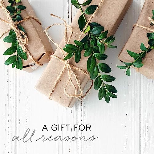 Thymes Frasier Fir Candle - Gilded Frosted Wood Grain Jar Candle - Scented Candle with a Luxury Home Fragrance - Elegant Holiday Candle - Gold Candle Lid and Gilded Gold Base (9 oz)