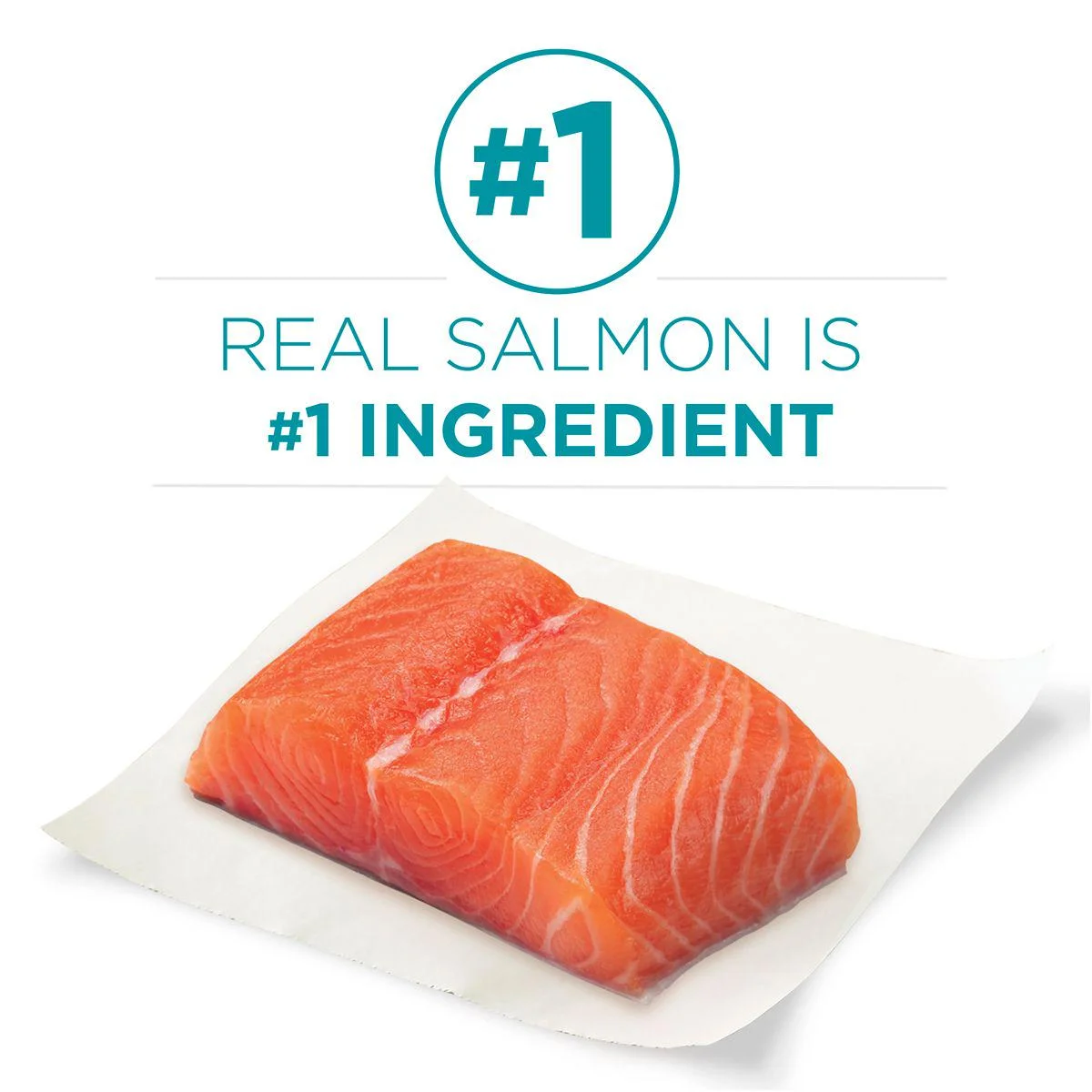 Purina ONE Tender Selects Adult Salmon Blend Recipe Dry Cat Food, 7 lb. Bag