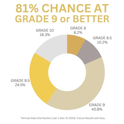 Ultimate Guaranteed Graded Mint 8-10 Michael Jordan Graded Card Mystery Booster Pack 8-10 Air Jordan in Every Pack | Basketball Card Grade by PSA BGS SGC CSG | Blind Bag Contains 1 Graded MJ