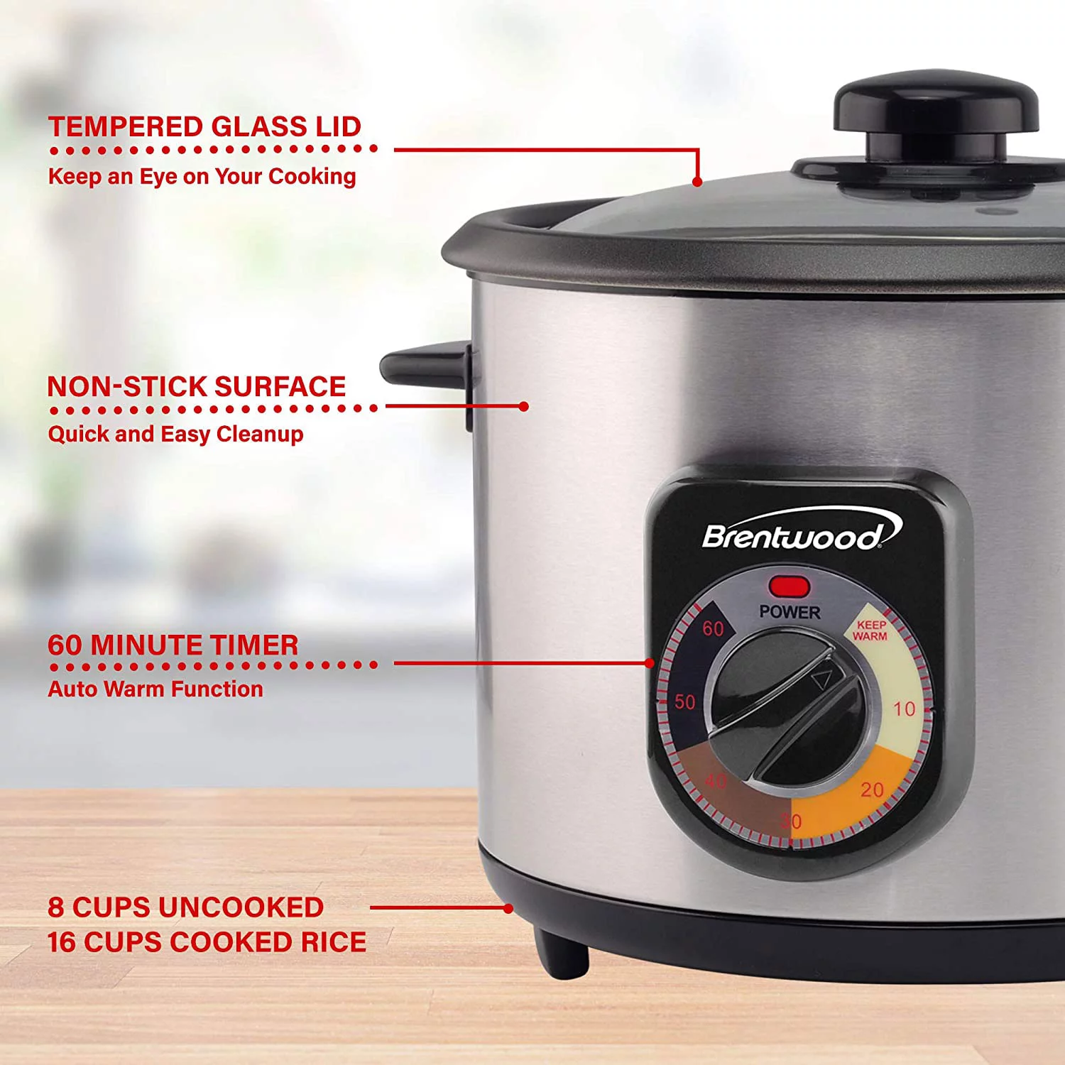 Brentwood Stainless Steel Crunchy Persian Rice Cooker (16 Cups Cooked 500 Watts) (TS-1216S)