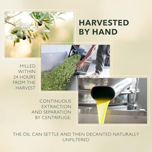 Barbera Frantoia Sicilian Extra Virgin Olive oil, 34-Ounce