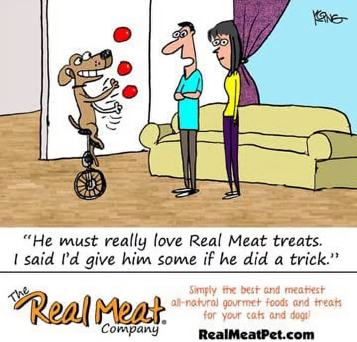 Real Meat Air-Dried Jerky Treats, Free-Range, All-Natural (Chicken & Venison Stix, 8oz)