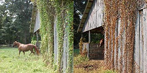 RM43 43-Percent Glyphosate Plus Weed Preventer Total Vegetation Control, 2.5-Gallon