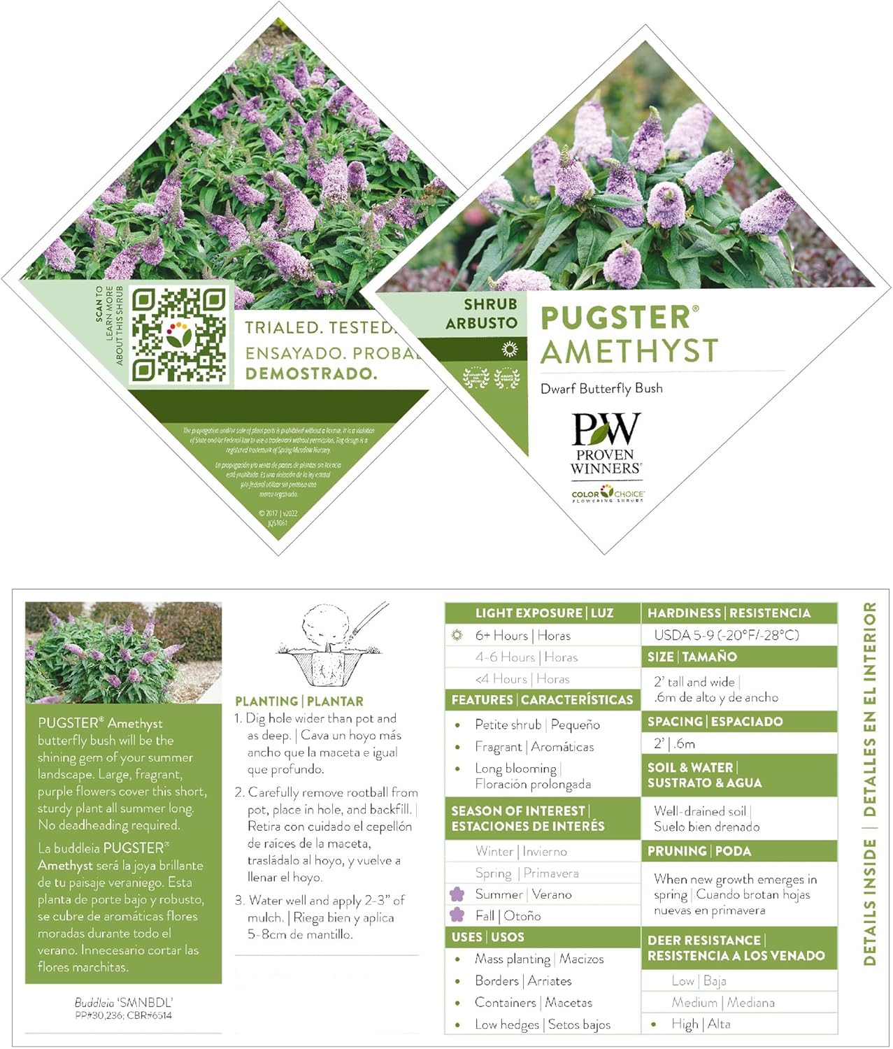 Pugster Amethyst 2 Gal. Buddleia, Purple Blooms