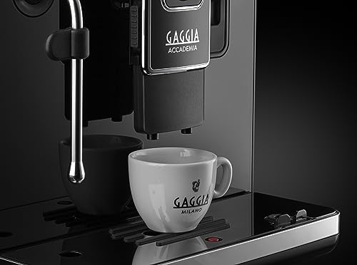 Gaggia Accademia Luxury Italian Fully Automatic Espresso Machine with 19 Customized drink settings,0.5 Liters,RI9782/46 Brushed Stainless