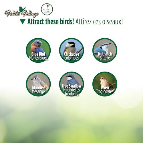 Wild Wings WWCH3 Cedar Blue Bird Box House