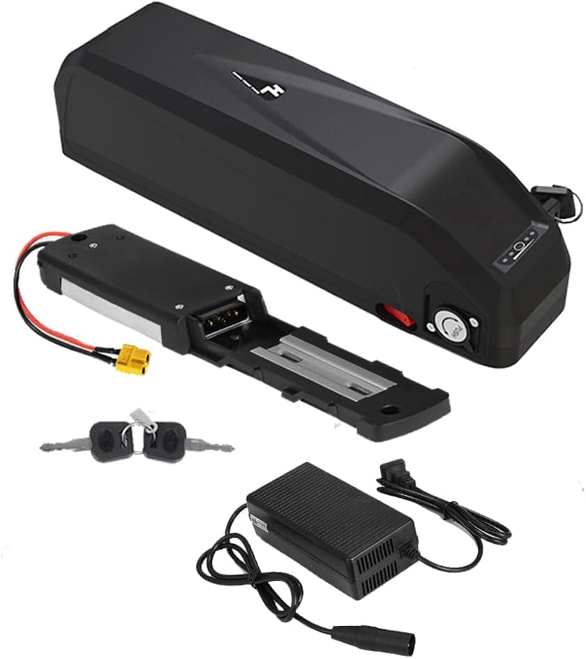 Hailong E-Bike Battery 48V 20Ah Electric Bike Lithium Li-Ion Battery with 35A BMS 3A Charger for 250W 500W 750W 1000W Bafang Voilamart and Other Motor (2-5 Days Fast Delivery)