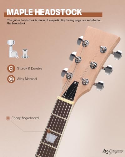 Leo Jaymz DIY Single Cut Electric Guitar Kits with Mahogany Body and Neck - Rosewood Fingerboard and All Components Included (LP Hollow)