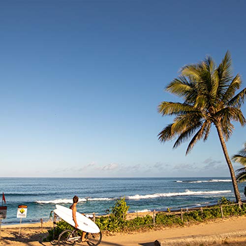 REEF J-Bay III Men's Full Grain Leather Flip Flop