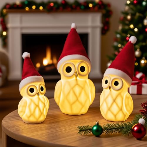 NEROSUN Ceramic Christmas Village Houses, 3Pcs LED Lighted Porcelain White Small House Tabletop Figurines, Light Up Christmas Decorations for Home Shelf Cabinet Table Winter Decor