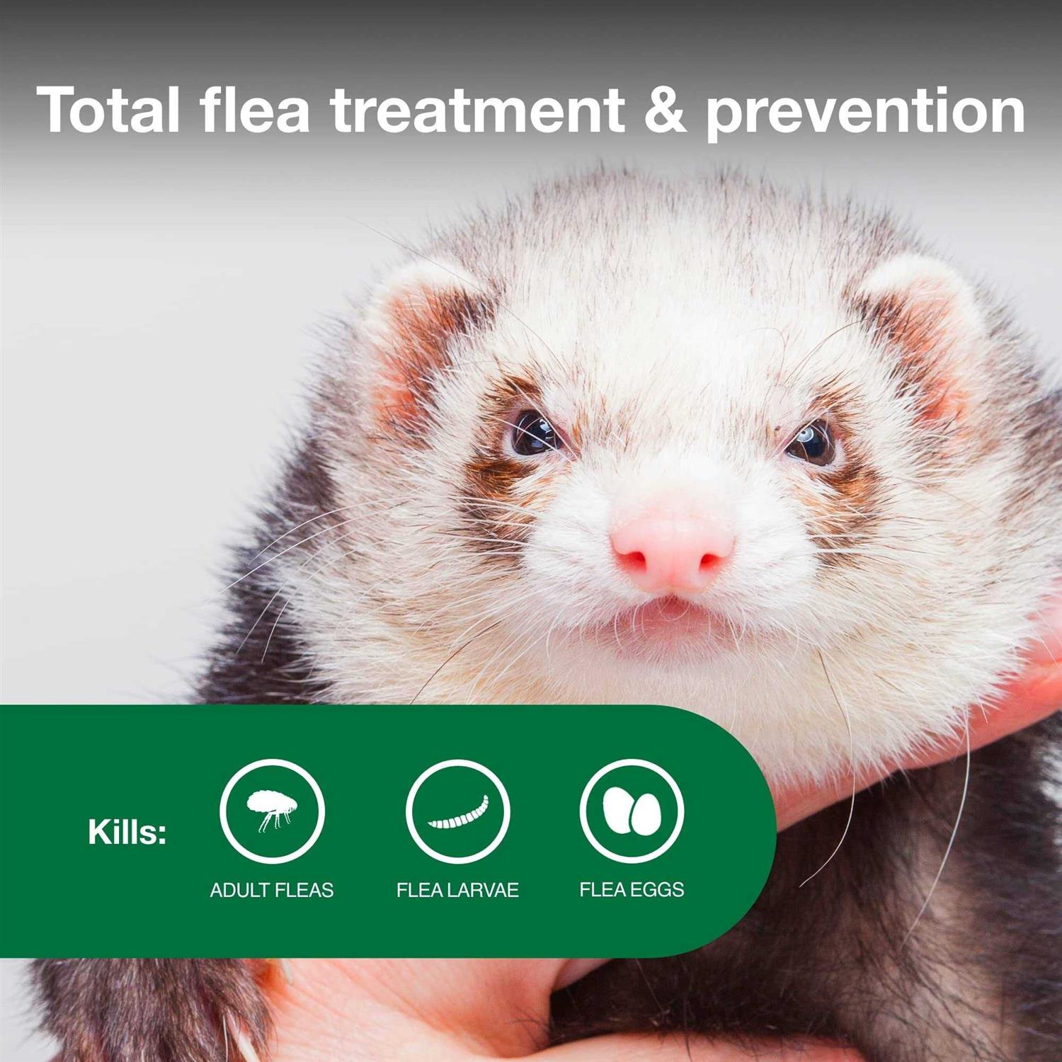 Advantage II Flea Treatment for Ferrets - Pet Supplies online store