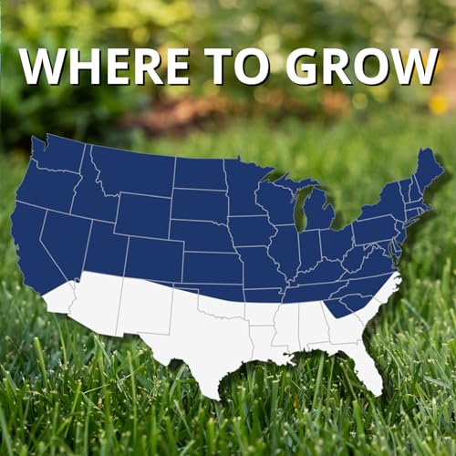 Jonathan Green (10323) Black Beauty Ultra Grass Seed - Cool Season Lawn Seed (25 lb)