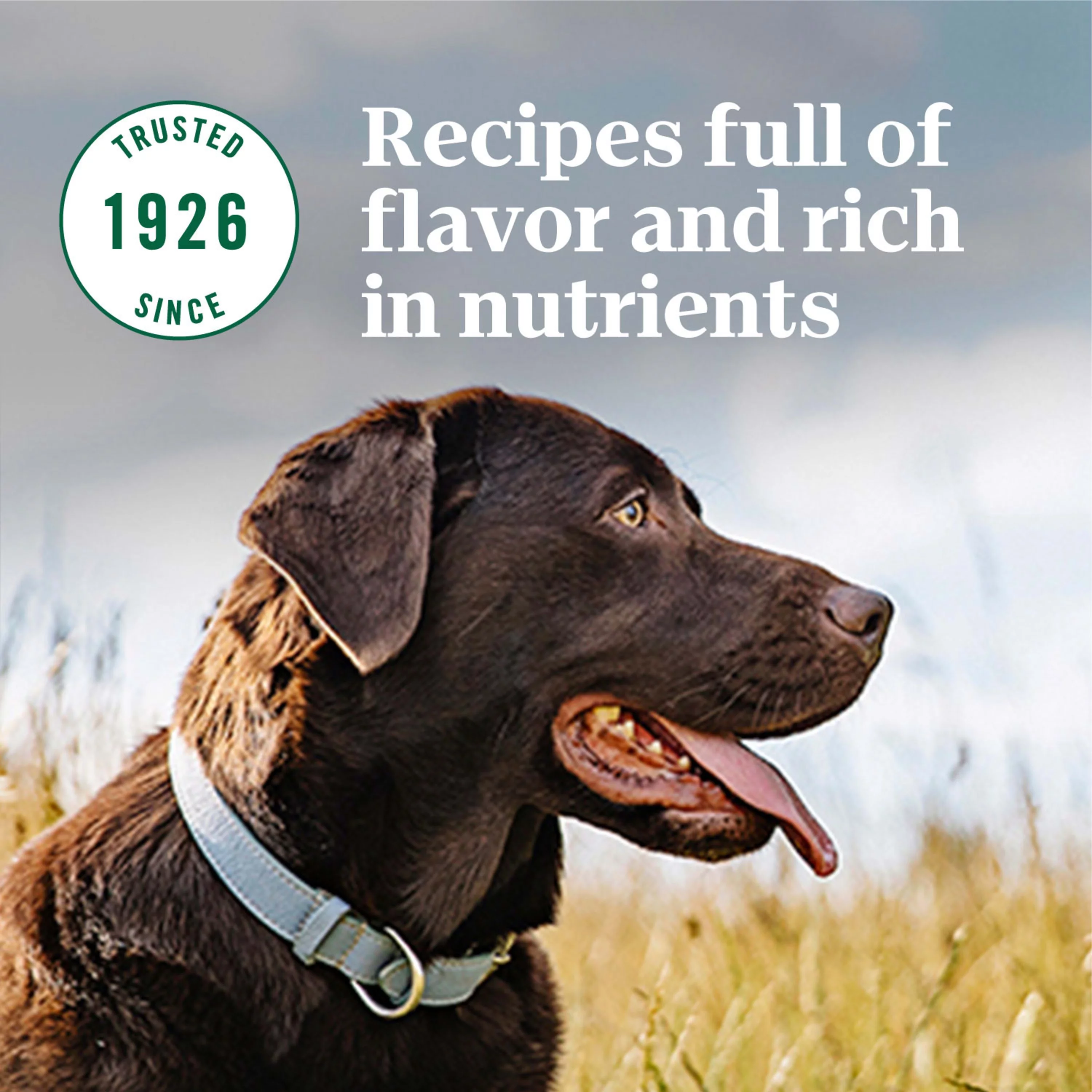 Nutro Natural Choice Lamb and Brown Rice Recipe Dry Dog Food, 30 lb Bag