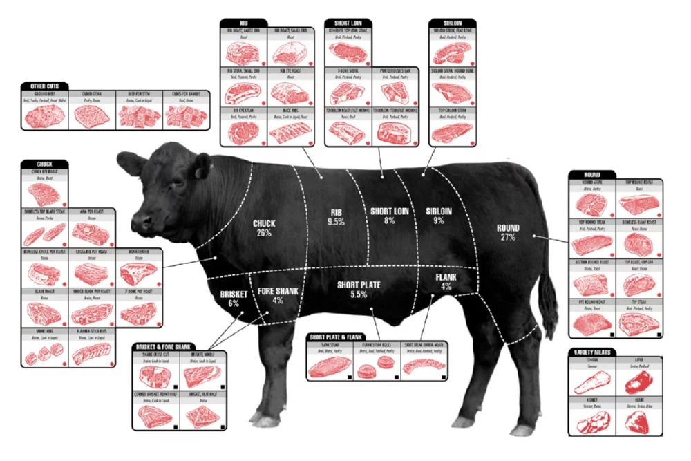 Beef Cuts Of Meat Butcher Chart Cattle Diagram Poster 24inx36in Poster 24x36 Meat Poster Beef Poster Square Adults Poster Time