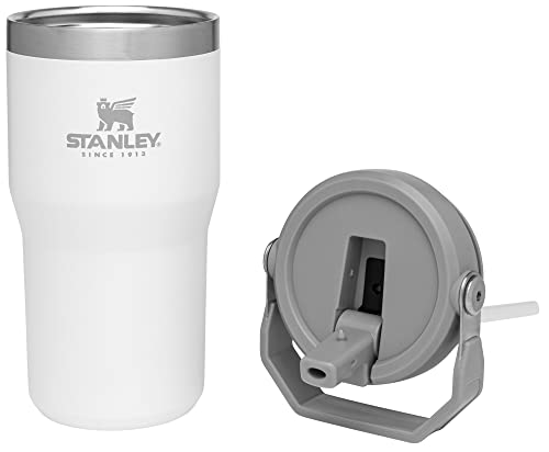 Stanley IceFlow Flip Straw Tumbler with Handle 30 oz | Twist On Lid and Flip Up Straw | Leak Resistant Water Bottle | Insulated Stainless Steel |BPA-Free | Lilac