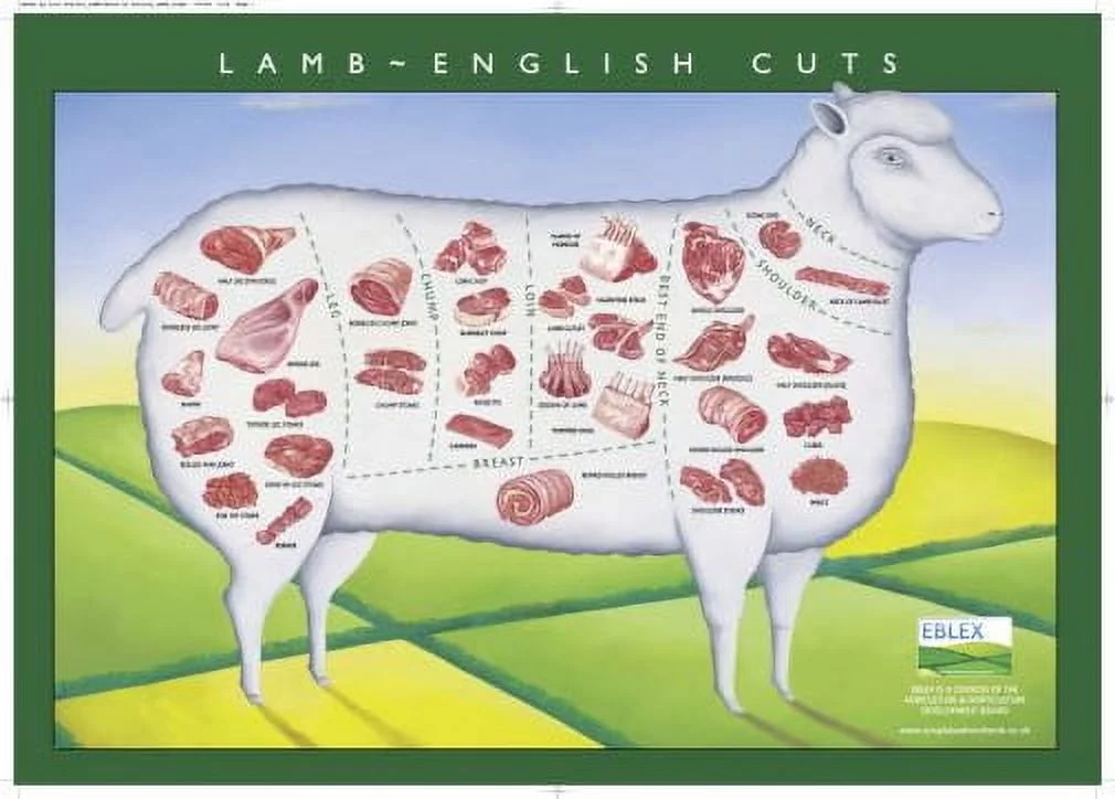 Lamb Cuts Illustration Chart Poster Giclee Print 27inx40in for any room 27x40 Square Adults Poster Time