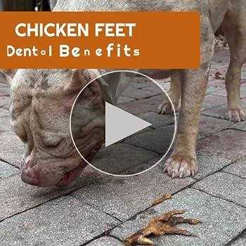 Amazing Dog Treats Chicken Feet Grade A Chicken Feet - Pet Supplies online store