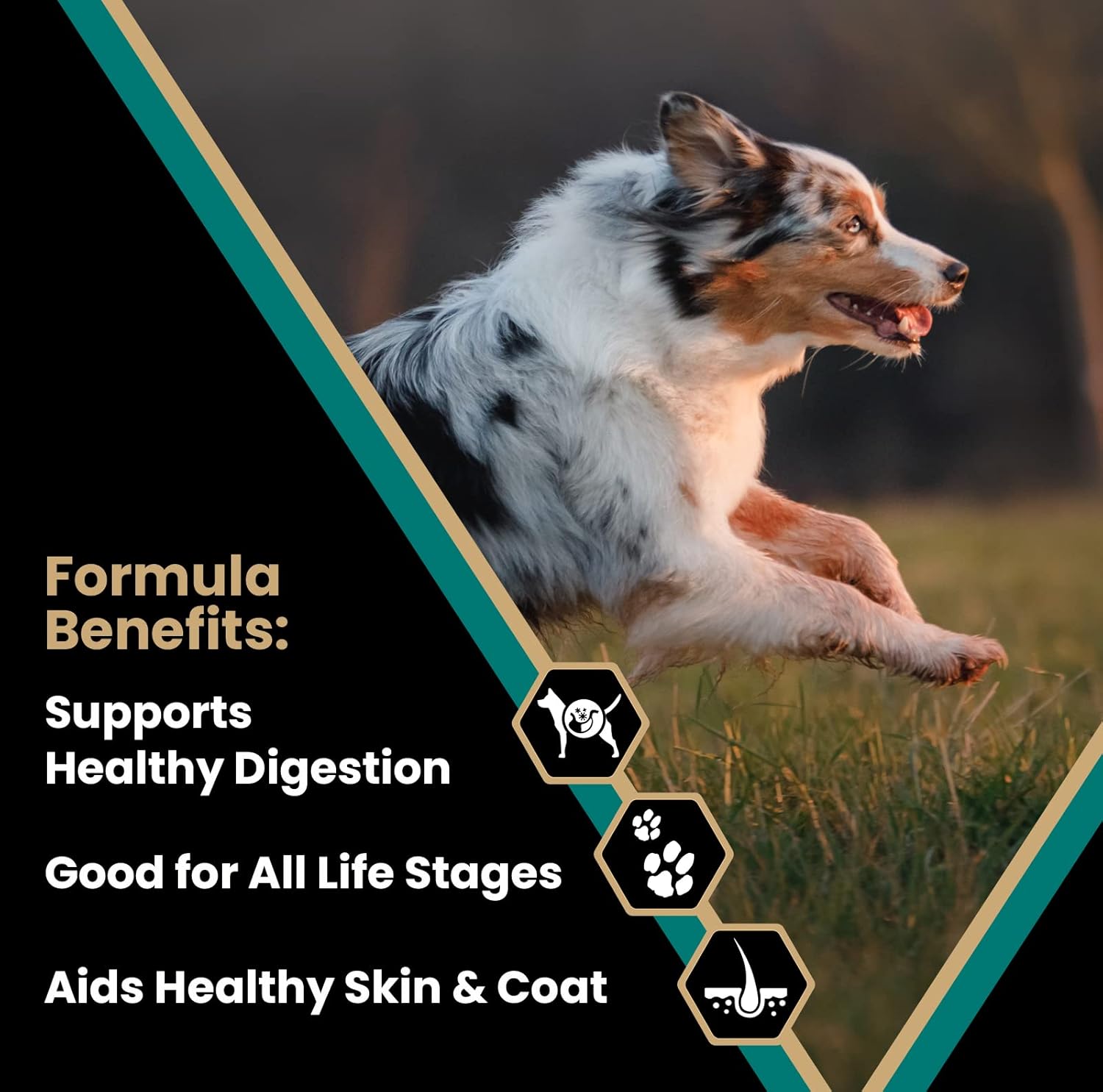 Victor Super Premium Dog Food – Select - Ocean Fish Formula – Gluten Free Dry Dog Food for All Normally Active Dogs of All Life Stages, 15lbs