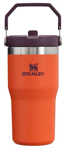 Stanley IceFlow Flip Straw Tumbler with Handle 30 oz | Twist On Lid and Flip Up Straw | Leak Resistant Water Bottle | Insulated Stainless Steel |BPA-Free | Lilac