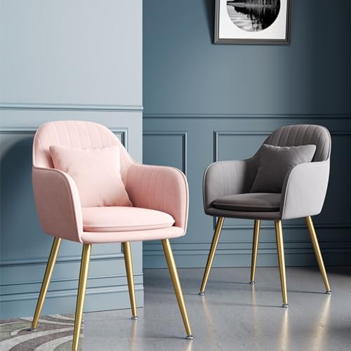 Leather Kitchen Chairs Modern Style Lazy Makeup Stool Livingroom Furniture Hotel Nail Shop Sofa Chair Nordic Dining Chair Backrest Flannel Fabric Chair armrest Dining Chair Velvet (Color : C)