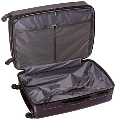 Samsonite Winfield 2 Hardside Expandable Luggage with Spinner Wheels, Brushed Anthracite, Checked-Large 28-Inch