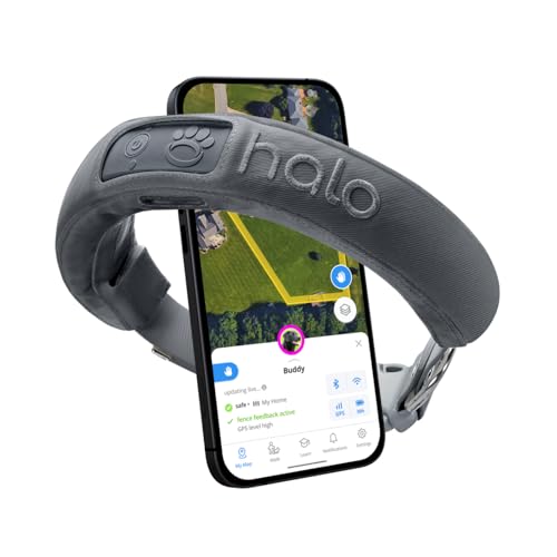 Halo Collar 3, Multifunctional GPS Wireless Dog Fence & Dog Training Collar with GPS Tracker, Subscription Required, Waterproof, Graphite (Small)