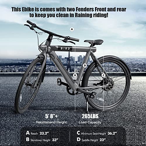 Bird Electric Bike for adults 500W Motor, 28