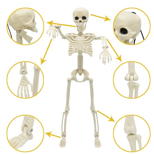 5.9FT/185cm Skeleton Halloween Full Size, Life Size Skeleton with Posable Joints Glowing Eyes Skeleton for Halloween Party Outdoor Haunted House Decor