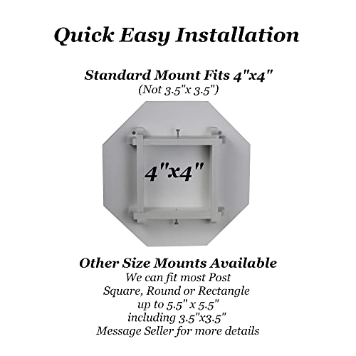 Bluebird Songbird Duplex Bird House with Copper Roof, Made in The USA (H8C) (4